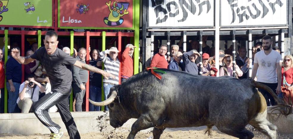 De 3.500 festejos a cinco plazas