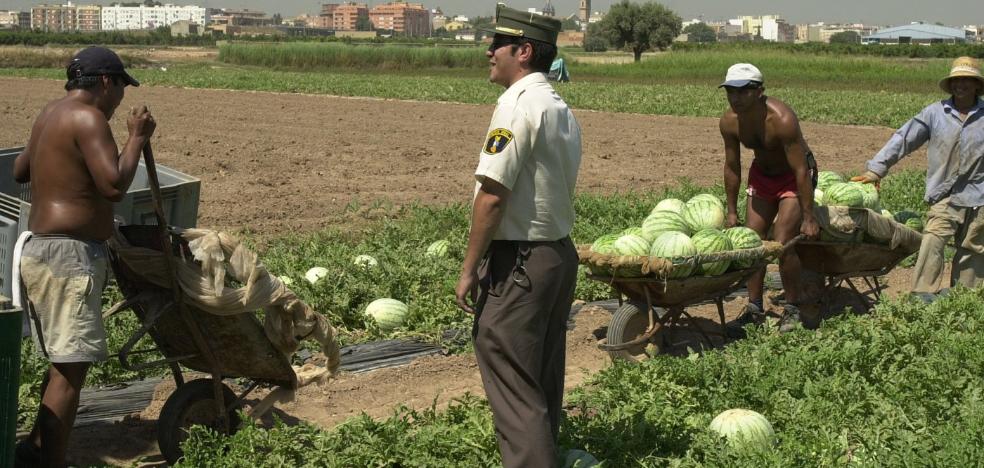 Los robos de sandías y melones alimentan el mercado negro