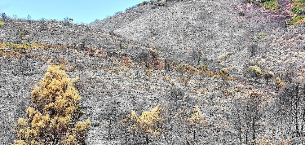 Los incendios en nueve municipios sin plan evidencian la falta de prevención