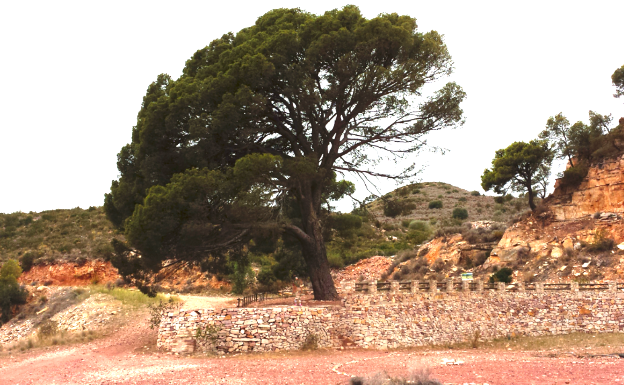 La ruta del Salt de Náquera: un recorrido natural en plena Sierra Calderona