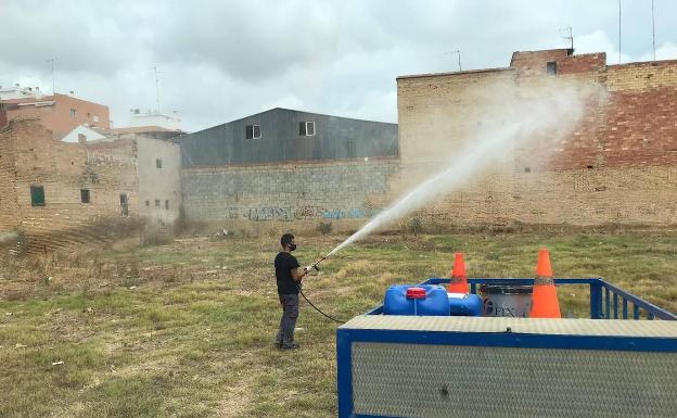 Una plaga de mosquitos obliga a Catarroja y Albal a intensificar los tratamientos