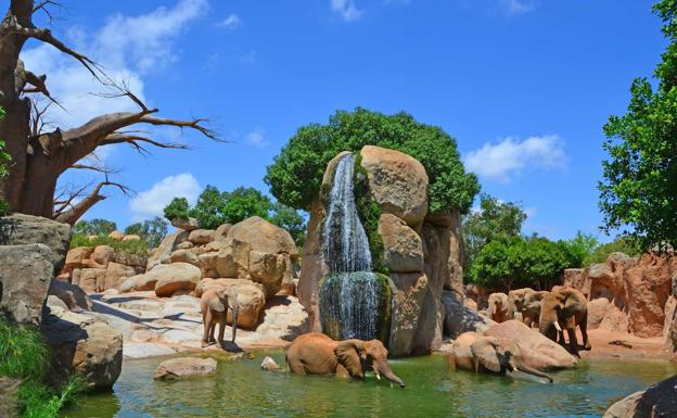 «Ocio con causa» para disfrutar con seguridad estas vacaciones en BIOPARC Valencia