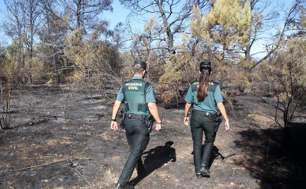 La Guardia Civil achaca a un pirómano los nueve fuegos que han calcinado más de 200 hectáreas