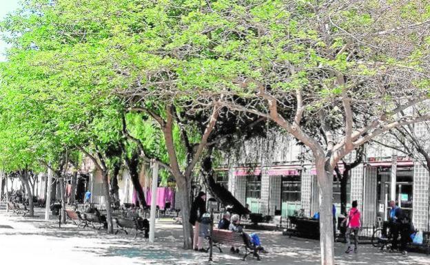 Massamagrell invertirá 300.000 euros en mejora de instalaciones municipales