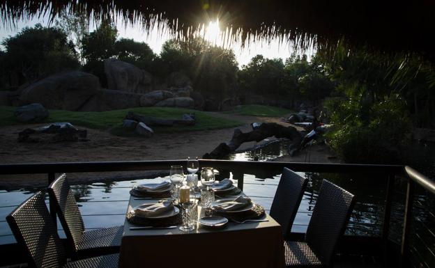 Se amplían hasta mitad de septiembre «Las Cenas en la Sabana» de BIOPARC Valencia