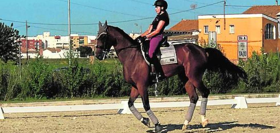 Cuando la máquina también es un deportista