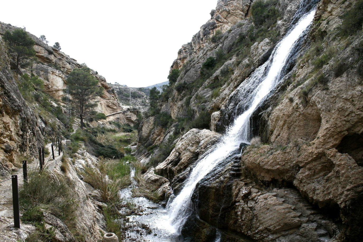 ¿La reina de las cenizas?