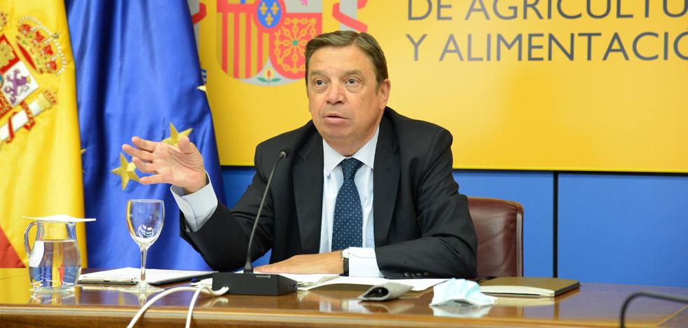 Luis Planas: «El sector citrícola debe organizarse mejor y revitalizar la interprofesional»