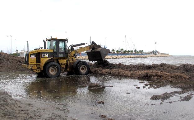 Levantan barreras de posidonia para frenar los efectos de la DANA en la costa