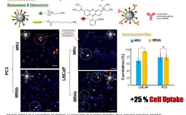 La UPV desarrolla una nueva nanomedicina para el tratamiento de cáncer de próstata menos agresiva que la quimioterapia