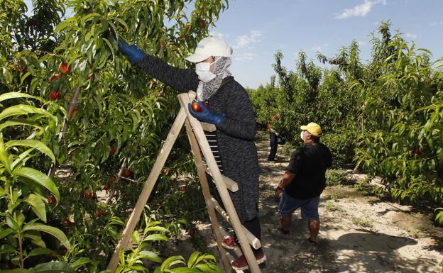 La pandemia deja sin ingresos a tres de cada cuatro trabajadores en 'b'