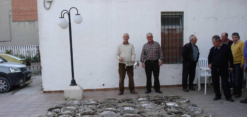 La plaga de conejos se extiende sin control y afecta ya a uno de cada tres municipios valencianos