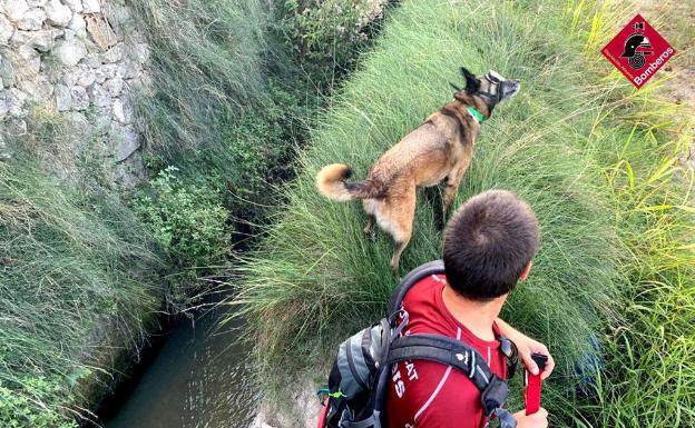 Hallan muerto en una acequia al vecino de Ontinyent desaparecido