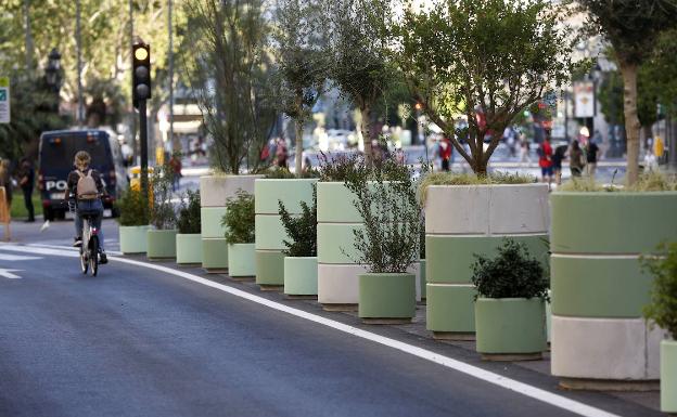 Los maceteros verdes de la plaza del Ayuntamiento se marchitan