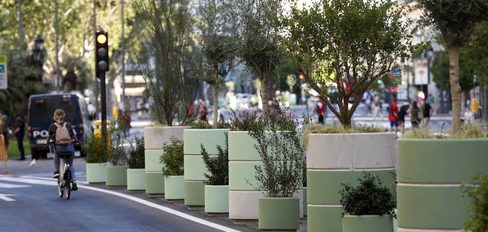 Los maceteros de la plaza del Ayuntamiento de Valencia se quedan
