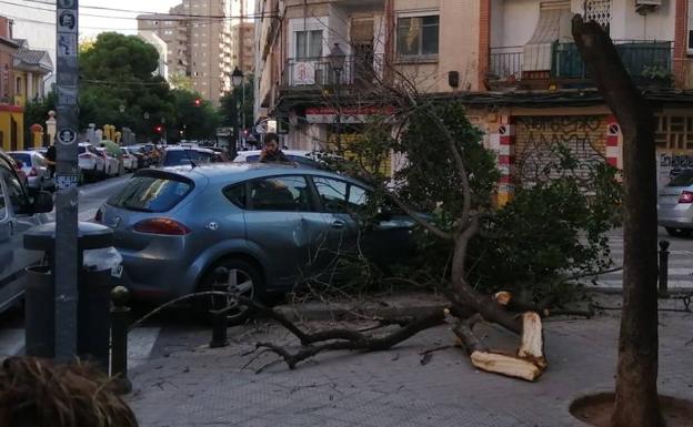 Un árbol cae sobre un coche en Benimaclet