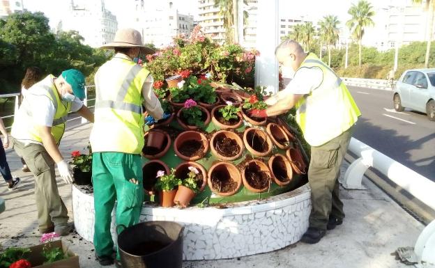 Los depredadores ganan en el puente de las Flores de Valencia