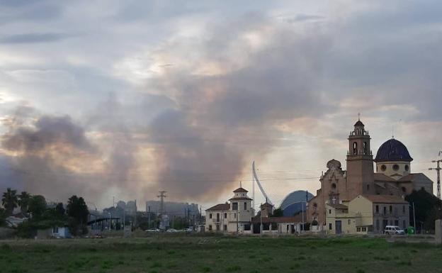 Arden dos árboles junto a la autovía de El Saler