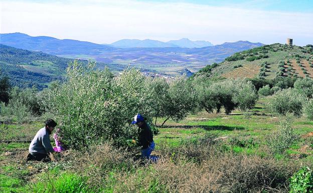 Las muertes en accidente de trabajo se disparan pese al parón económico