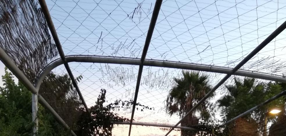 Un incendio en un botellón quema la cubierta de la pérgola del Parque Central de Valencia