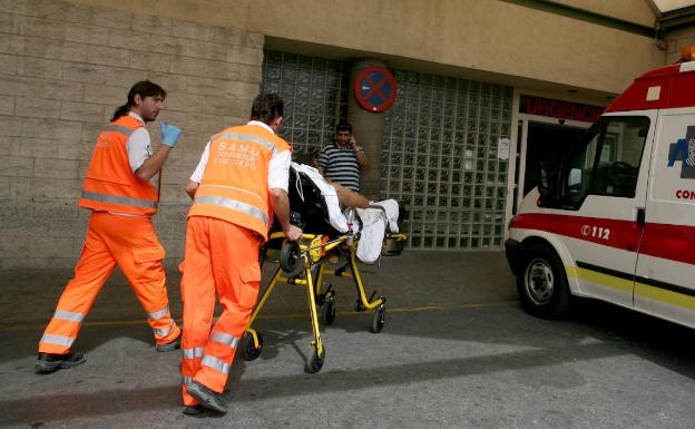 Un hombre resulta politraumatizado tras caer de un árbol en Alicante