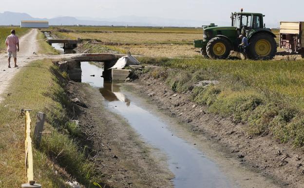 La Confederación Hidrográfica fija en 2027 la recuperación ambiental de la Albufera