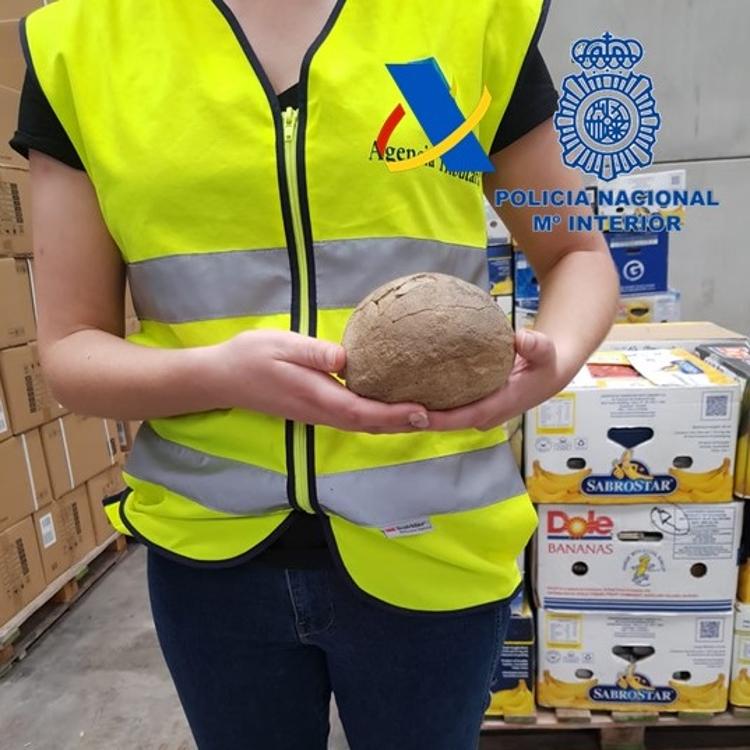 Huevos de dinosaurio por 150.000 euros