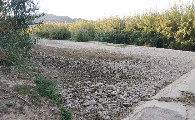 El río Serpis tardará dos años en recuperar la fauna perdida en una semana por la falta de caudal