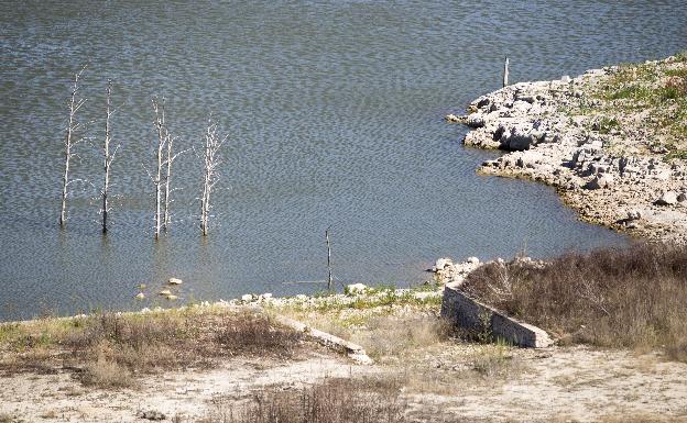 La contaminación del agua de Bellús genera molestias en pueblos de la Vall