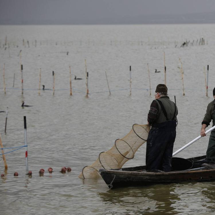 Valencia alerta que las mejoras en el riego reducen caudal para la Albufera