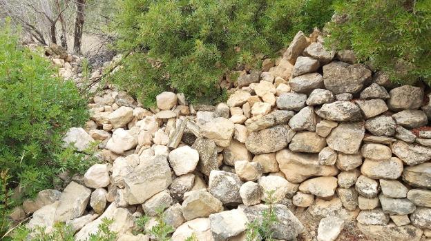 Las cabras destrozan los bancales alrededor de la Muela de Cortes