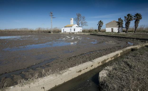 El Consell inicia la renovación del plan rector de la Albufera suspendido desde 2012