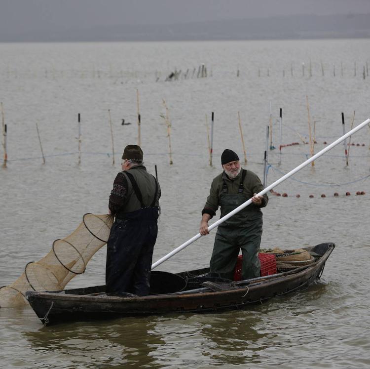 El Consell inicia el nuevo plan rector de la Albufera tras ocho años paralizado