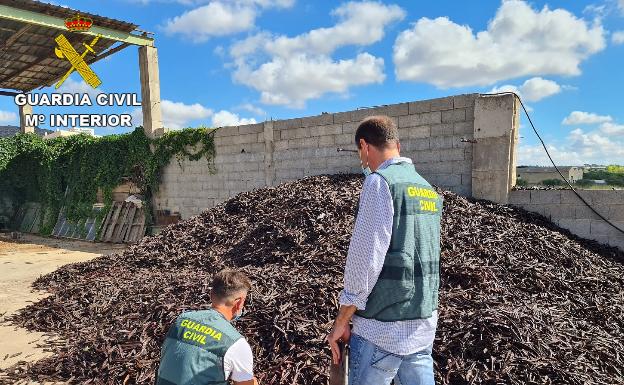 La Guardia Civil investiga a 41 personas relacionadas con el robo de 20 toneladas de algarrobas