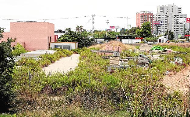 Ribera sólo invierte cinco millones en mejorar la Albufera