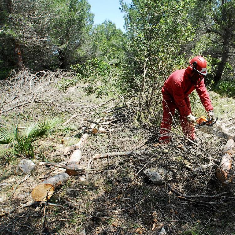 Las diferencias entre Hacienda y Medio Ambiente frenan trabajos forestales y en los parques naturales
