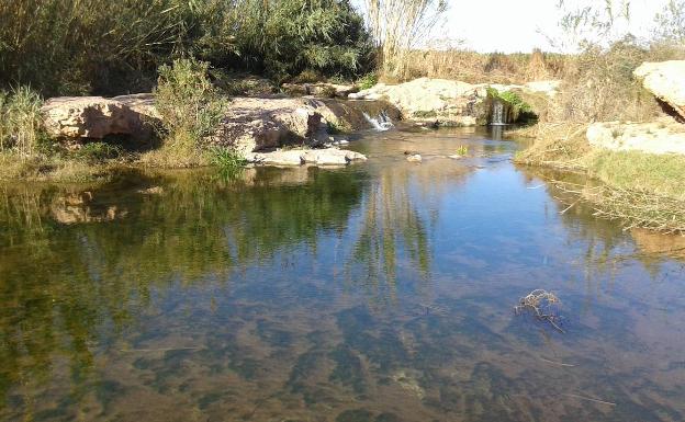 Colectivos ecologistas piden que el entorno del Pont Sec, en el barranco del Carraixet, sea paraje natural municipal