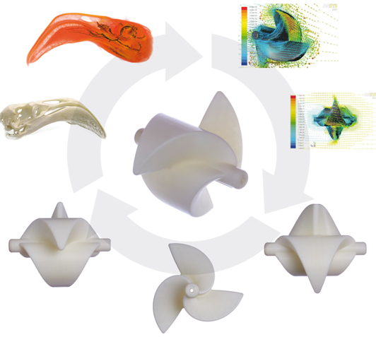 Turbina bidireccional mareomotriz pasiva bioinspirada en el pico del flamenco y diseñada por Biomival./Biomival