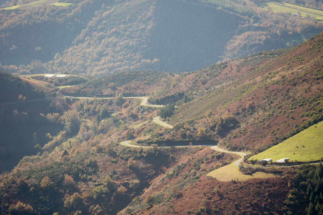 La ruta de Los Ancares, un manto vegetal único en España