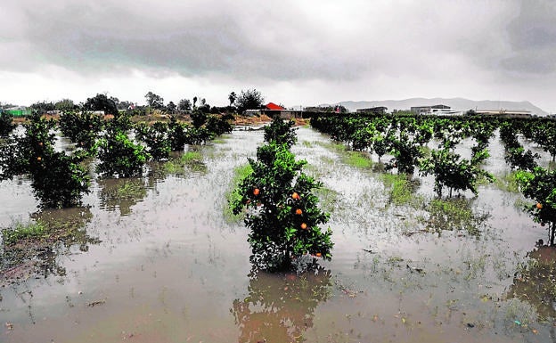 Ocho millones en daños en la Ribera por el granizo