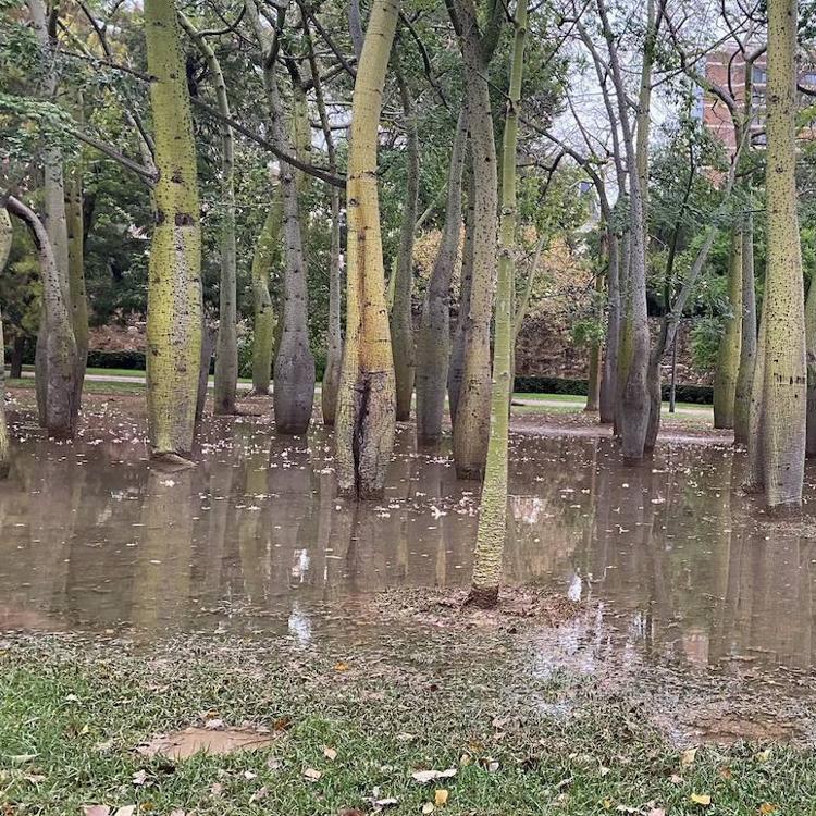 El agua toma el nuevo cauce y destierra el parque soñado por Ribó para Valencia