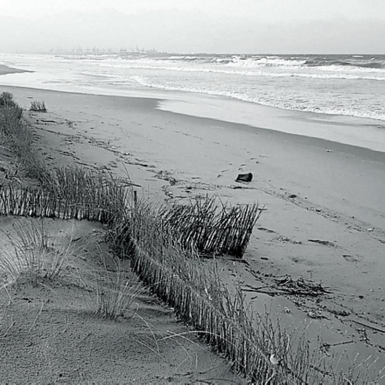 Playas, tenemos un problema