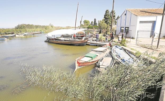 Ecologistas piden más caudal y un colector para la Albufera