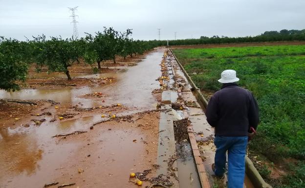 Los agricultores reclaman la reparación de infraestructuras y ayudas al sector en las Riberas