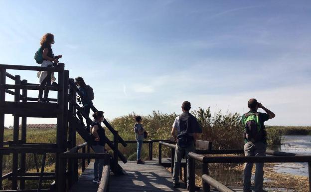Más de 130 personas participan en la campaña turística 'Otoño en la playa de Puçol'