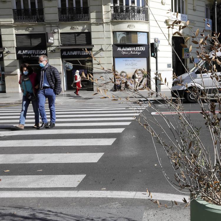 Los maceteros verdes de la plaza del Ayuntamiento se marchitan
