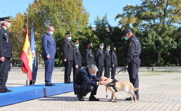 Condecoran a dos perros de la Policía Nacional de Alicante