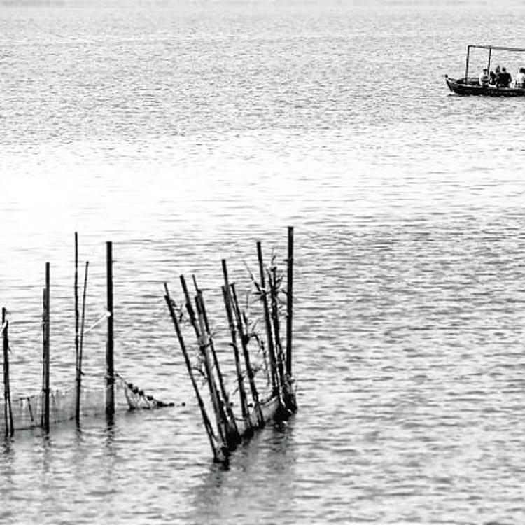 La Albufera tendrá que esperar