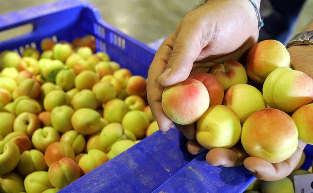 Detenido por estafar 36.000 euros a empresas agrícolas con el timo del nazareno