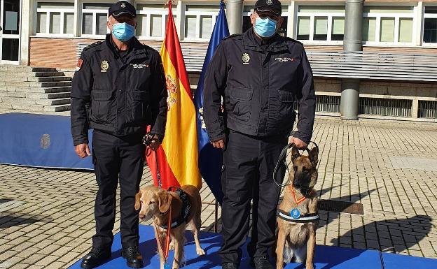 Ginger y Yuko, dos «agentes» de cuatro patas con medalla